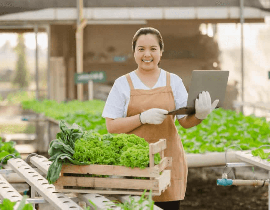 Tax & Accounting Bukan Masalah, Kalau Paham Caranya