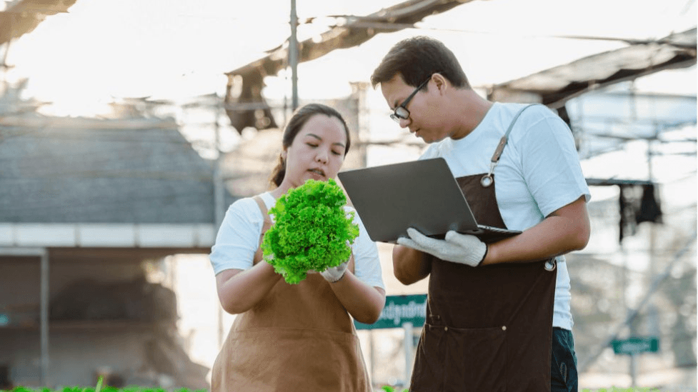 Financial Planning and Wealth Management