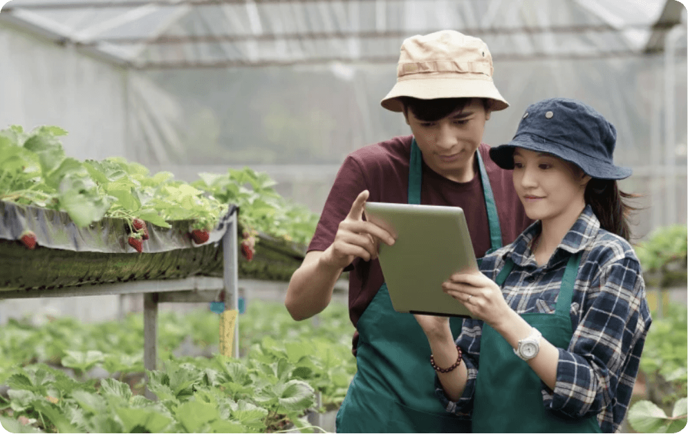 Compensation and Benefit